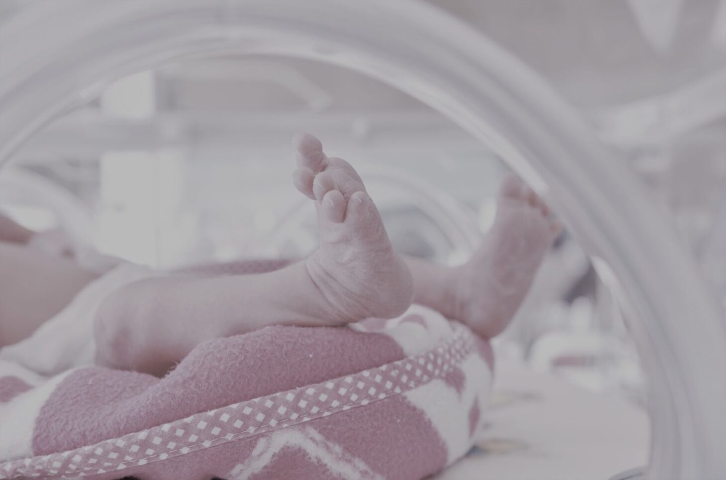 malutkie dziecięce stópki w inkubatorze