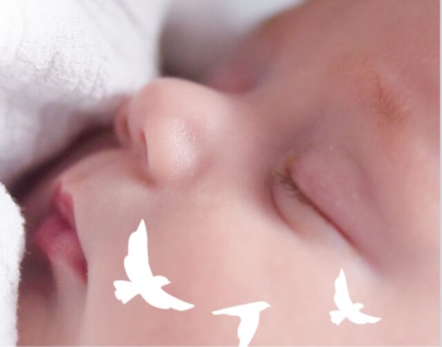 buzia niemowlaka z sylwetkami ptaków na policzku