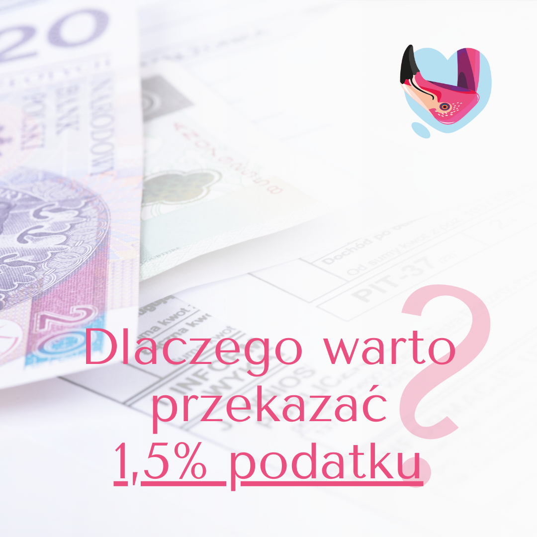 Dlaczego warto przekazać 1,5% podatku?